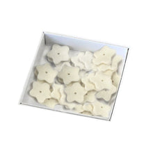 Load image into Gallery viewer, DiaShine® LUCIDA Felt Stars (100)